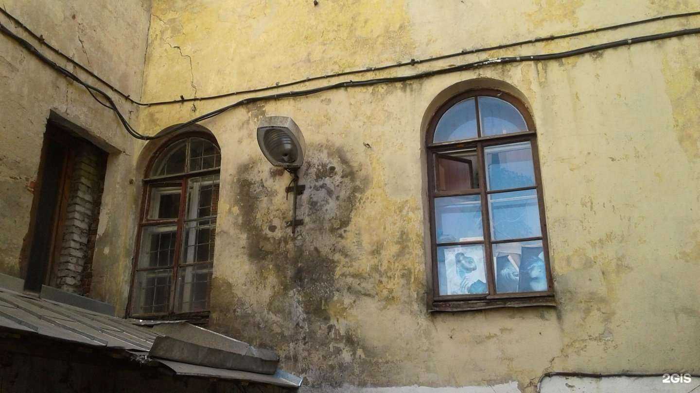 Отзывы на компанию Амикидс в Гатчине c фото - фотография 2 из 2