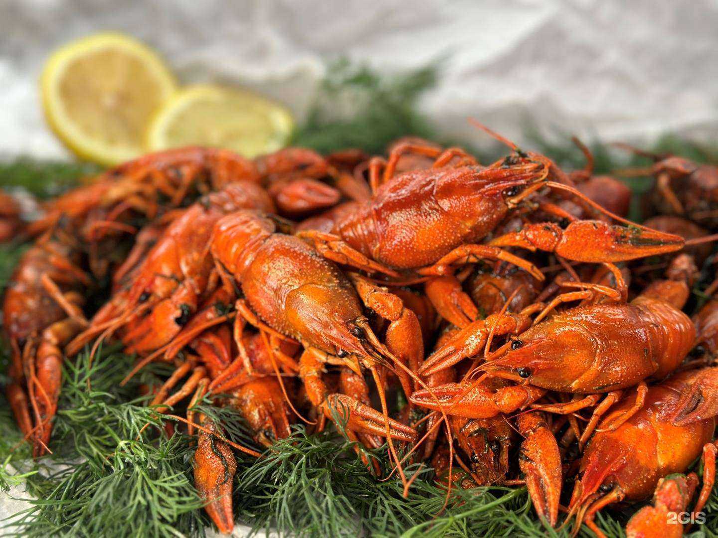 Отзывы на компанию B&Berry в г. Казань c фото