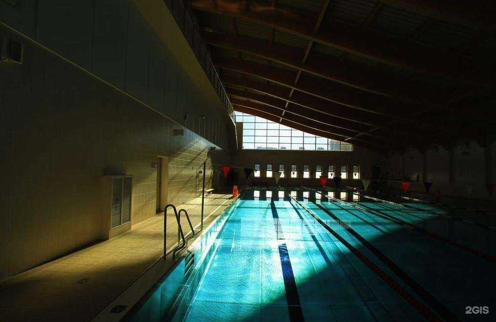 Отзывы на компанию Школа плавания №1 в г. Химки c фото