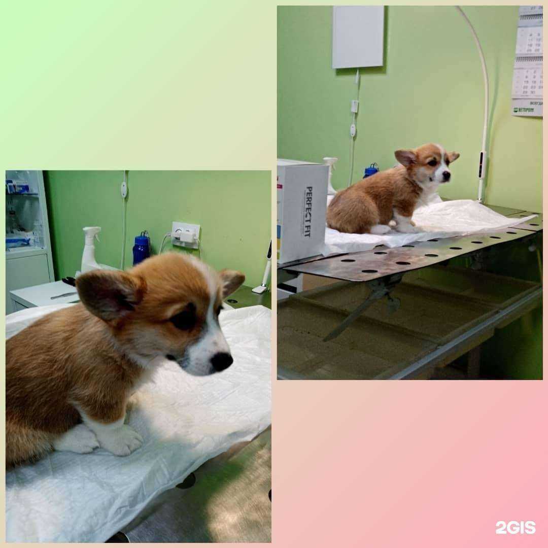 Отзывы на компанию Авва в г. Самара c фото