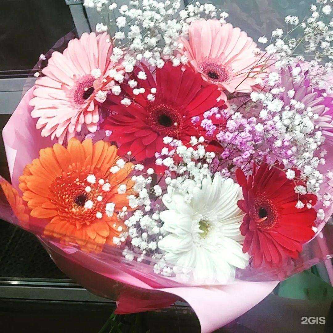 Отзывы на компанию Натали в г. Шелехов c фото