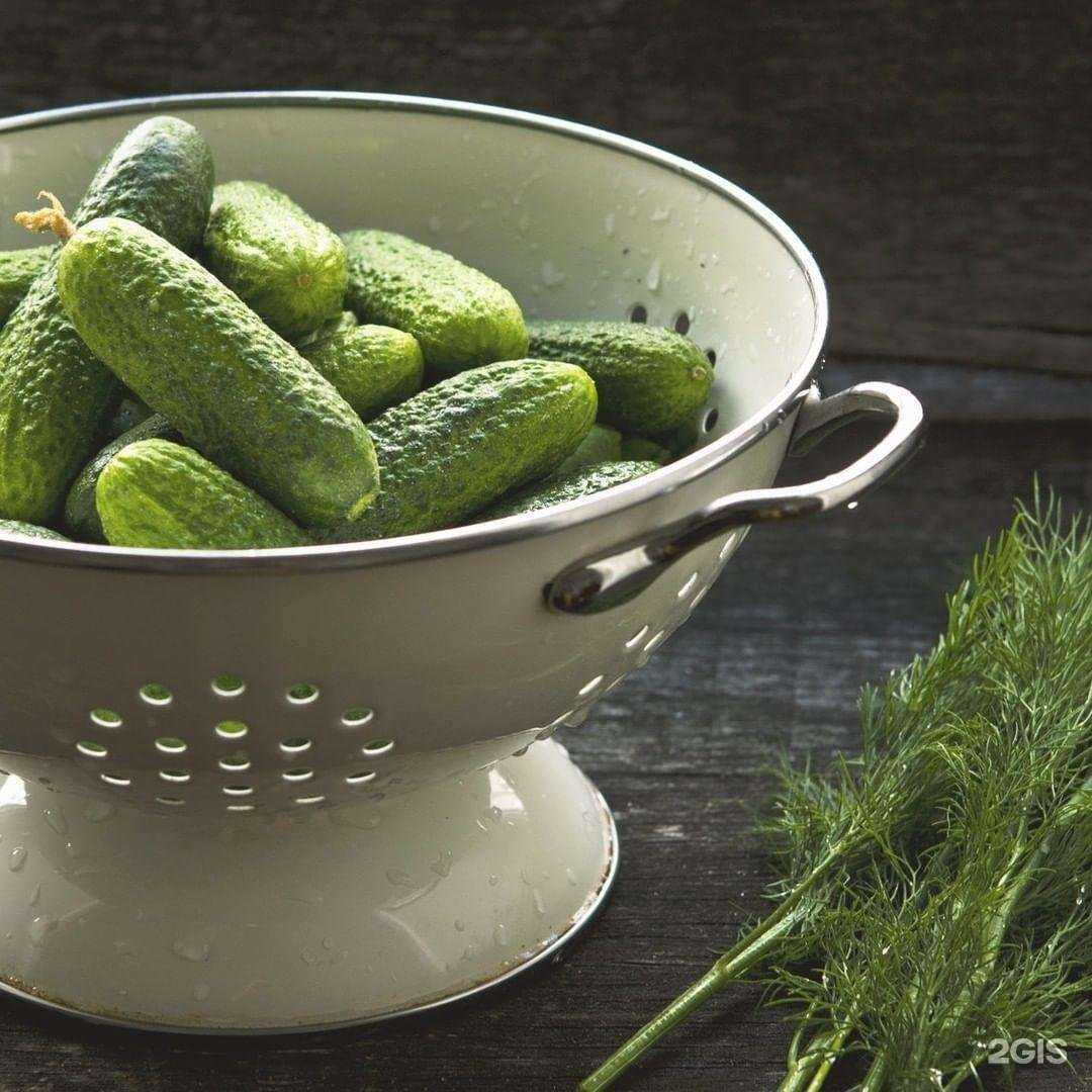 Отзывы на компанию Ника-мед в Шуи c фото