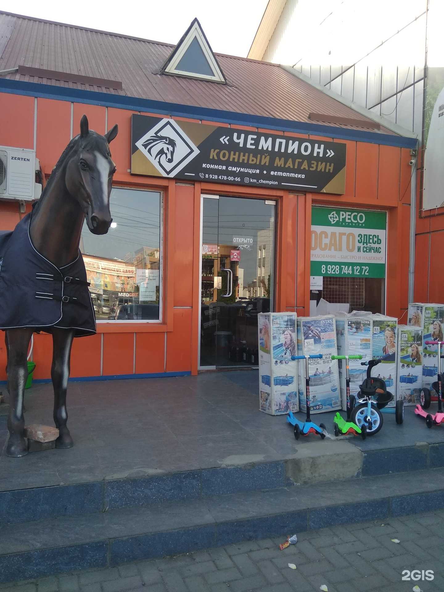 Отзывы на компанию Чемпион в Грозном c фото