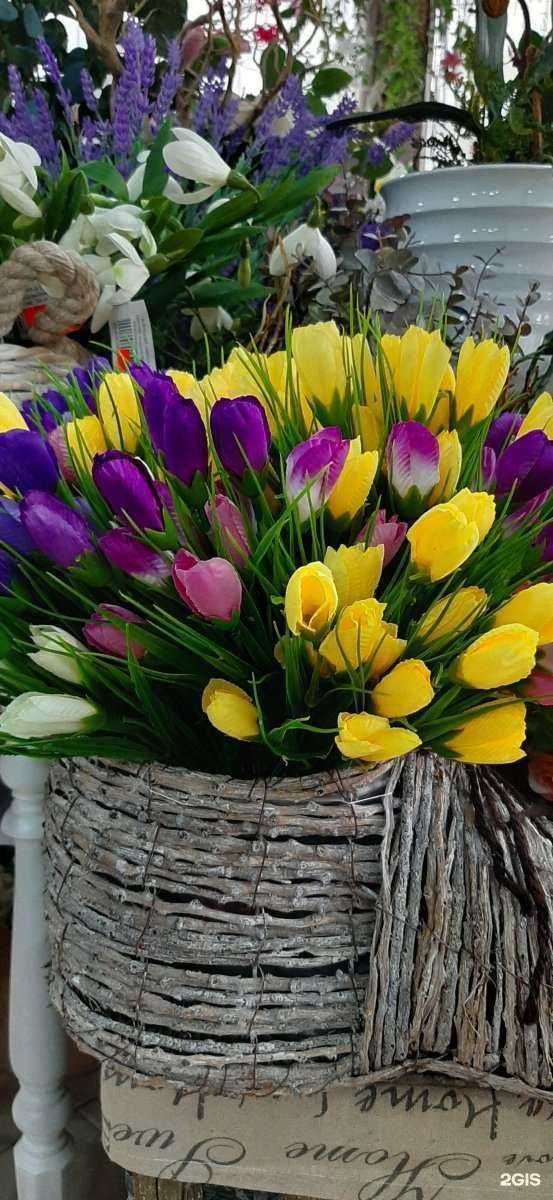 Отзывы на компанию Любимый в Сочи c фото