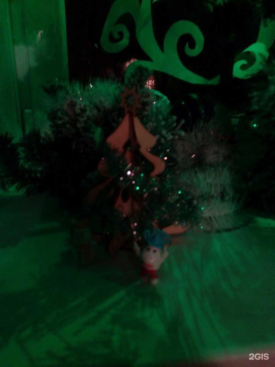 Отзывы на компанию Оранжевый кот в Липецке c фото