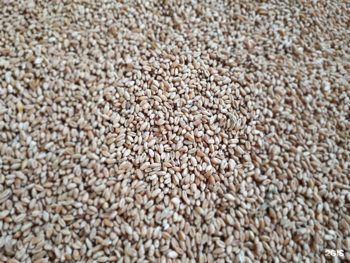 Отзывы на компанию Амбар в Красноярске c фото