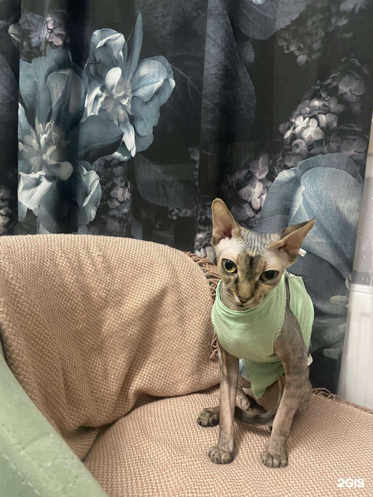 Отзывы на компанию Слон в Краснодаре c фото