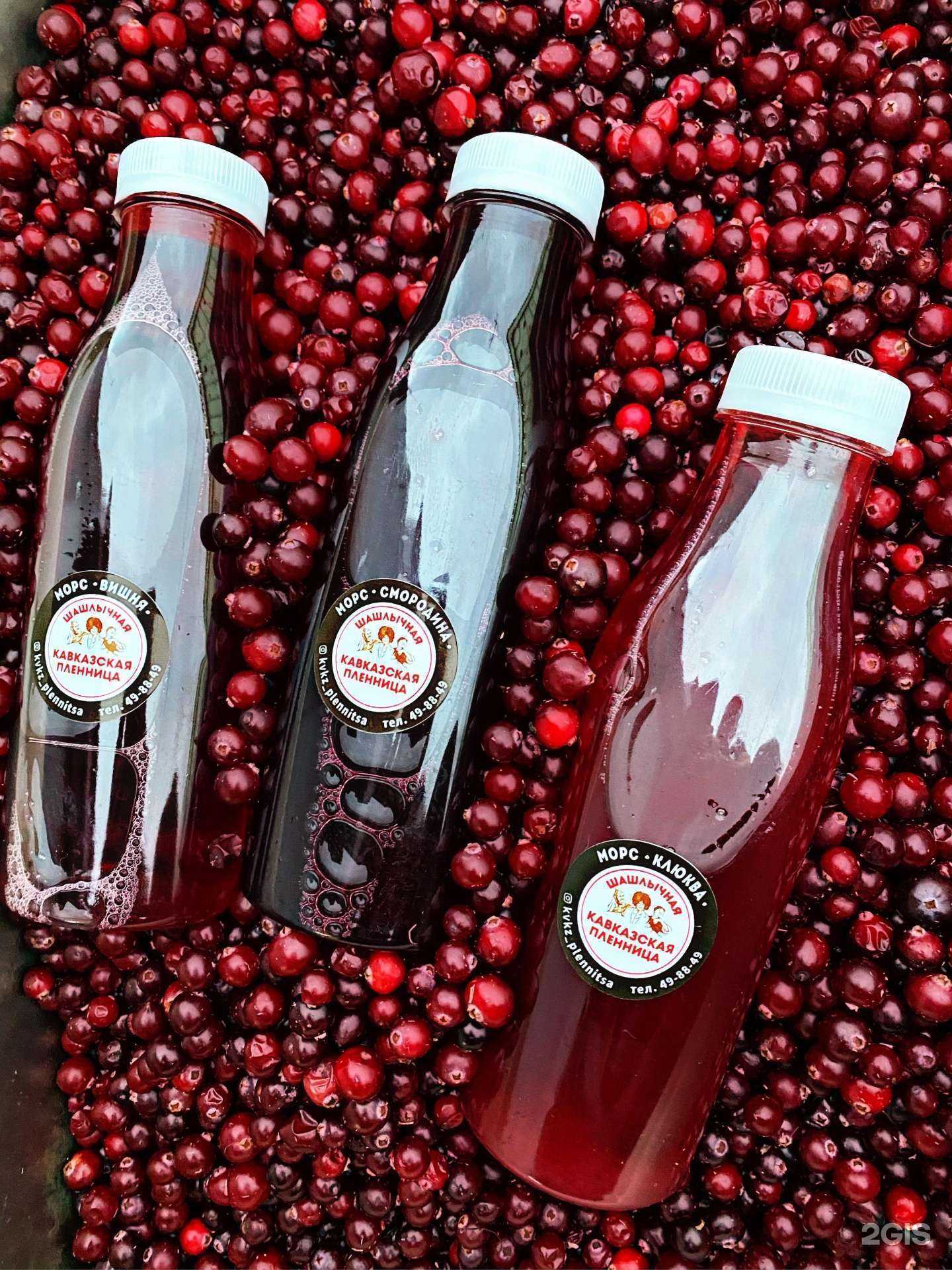 Отзывы на компанию Кавказская пленница в Сургуте c фото