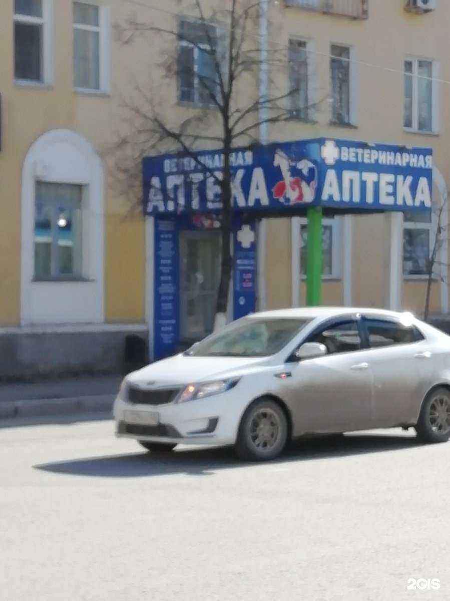 Отзывы на компанию Курганветсервис в г. Курган c фото