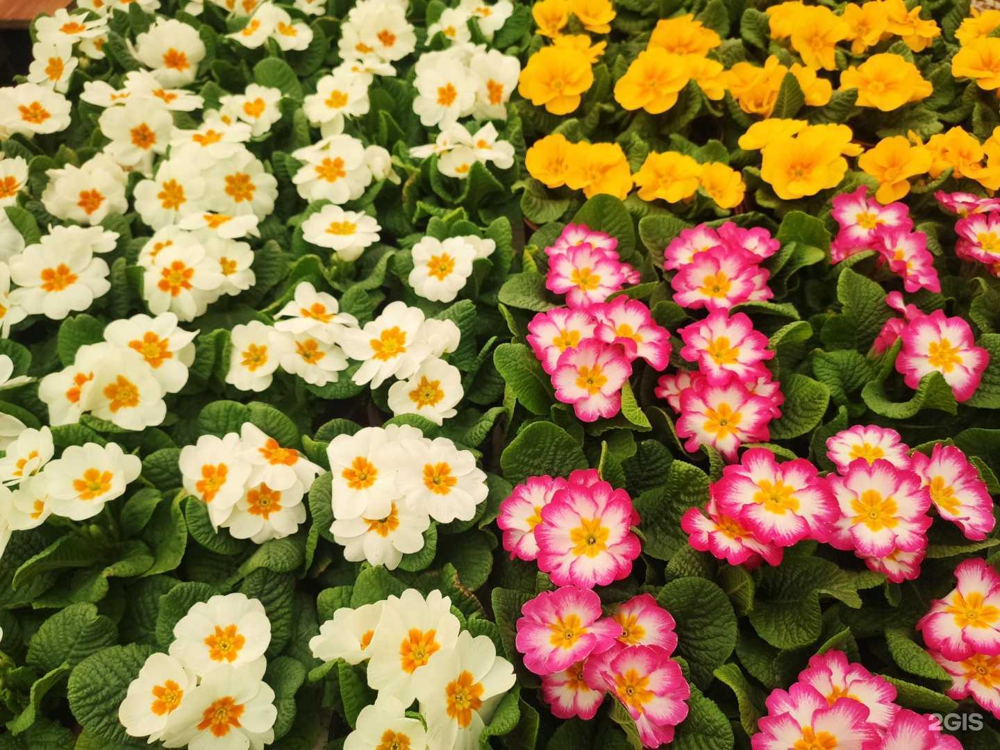 Отзывы на компанию Конек-Горбунок в г. Челябинск c фото