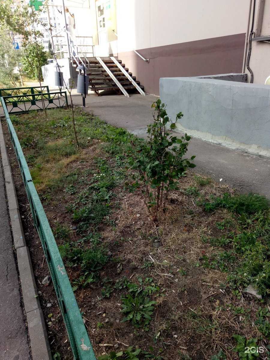 Отзывы на компанию Планета здоровья в Красногорске c фото