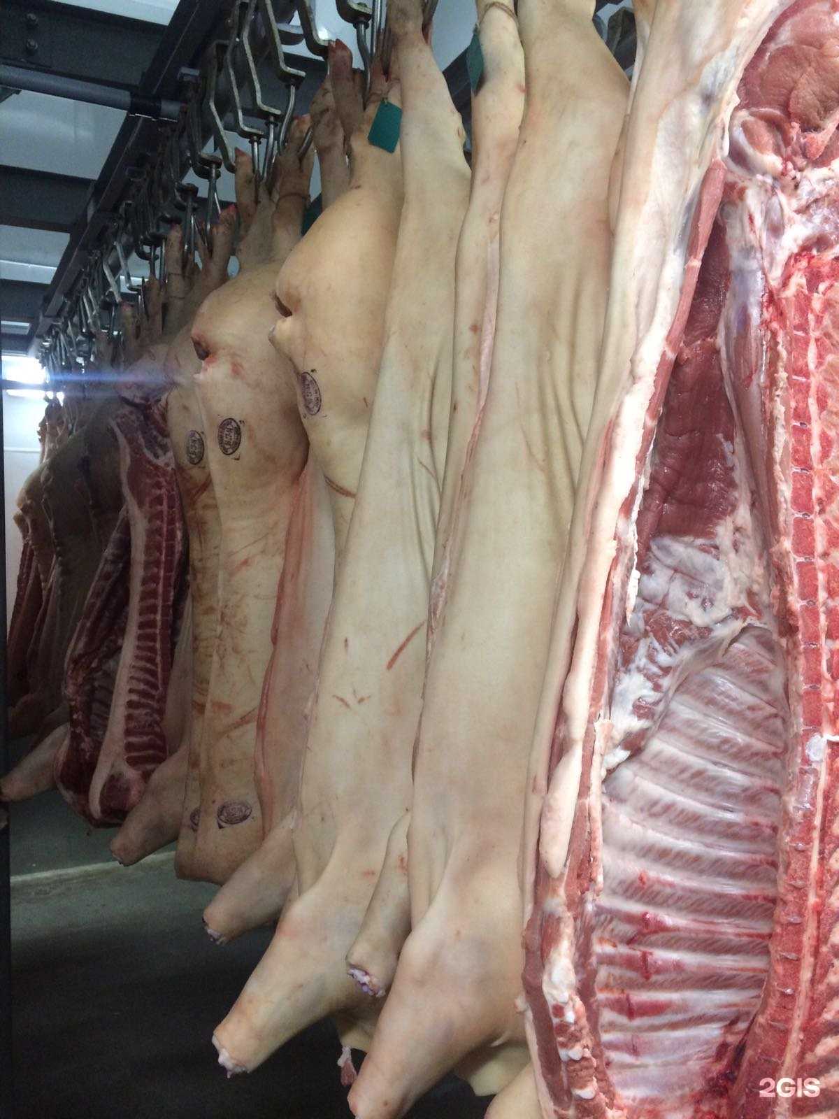 Отзывы на компанию Актив в Тюмени c фото