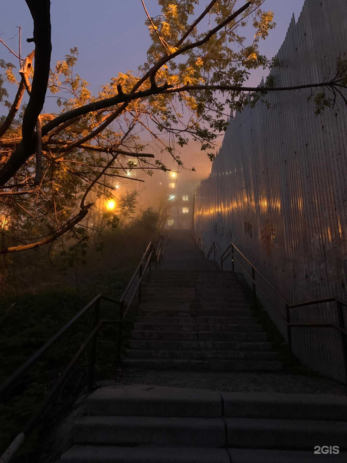 Отзывы на компанию Компания автопроката в г. Владивосток c фото