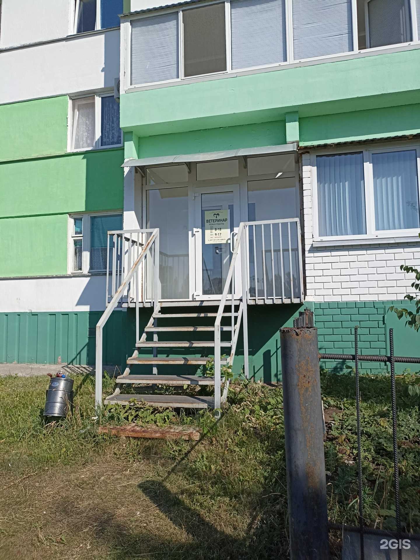 Отзывы на компанию Ветеринар в Набережных Челнах c фото