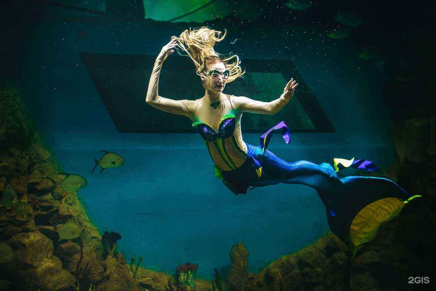 Отзывы на компанию Океанариум в Екатеринбурге c фото