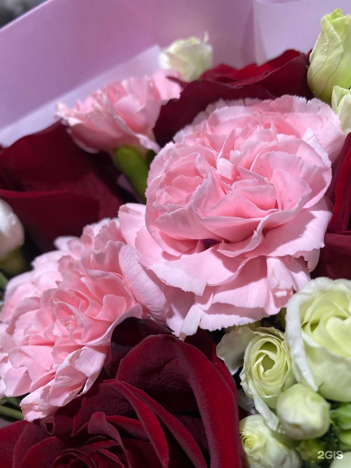 Отзывы на компанию Flower vibe в г. Бийск c фото