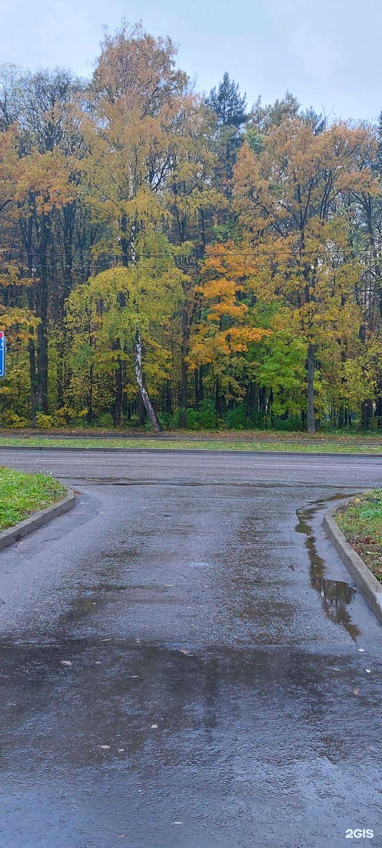 Отзывы на компанию В цветах! в Подольске c фото - фотография 2 из 2