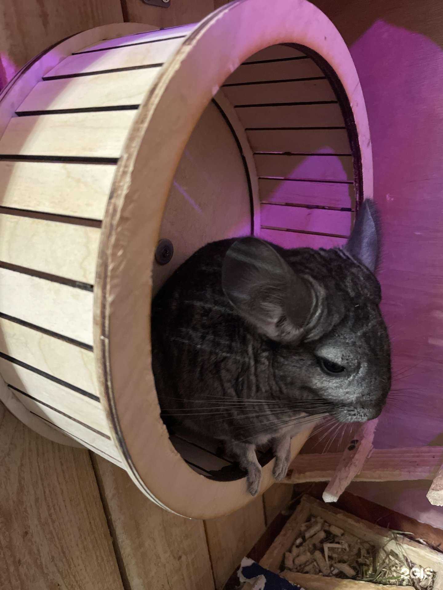 Отзывы на компанию WoodStyle в Перми c фото