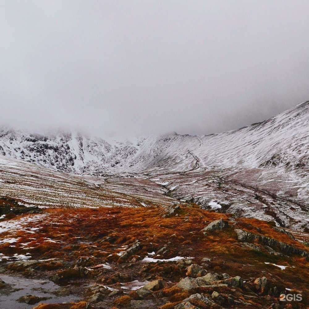 Отзывы на компанию Seti в Одинцове c фото