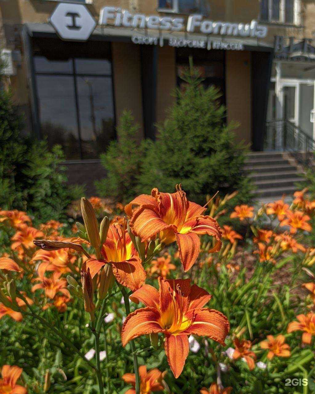 Отзывы на компанию Fitness Formula в Омске c фото