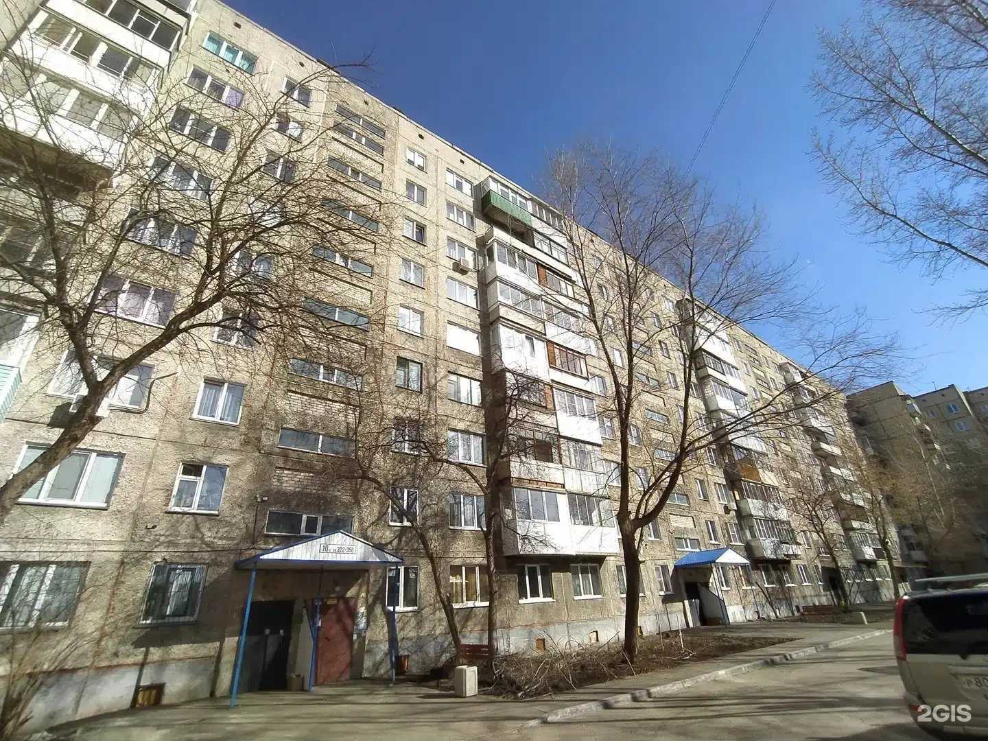 Отзывы на компанию Кошечки&Собачки в Барнауле c фото - фотография 2 из 2