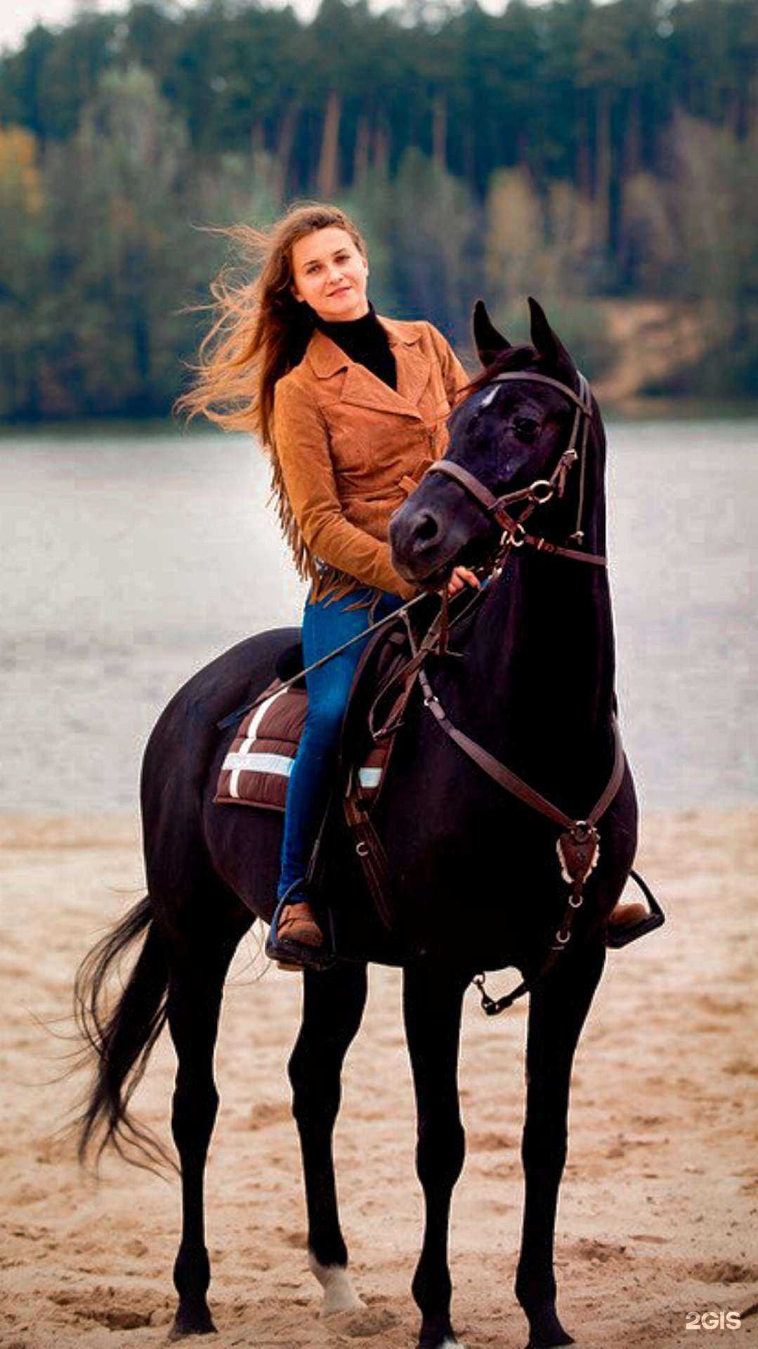 Отзывы на компанию Loshadi_Lipetsk в Липецке c фото