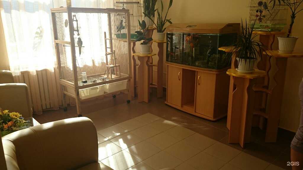 Отзывы на компанию Академия детства в Казани c фото