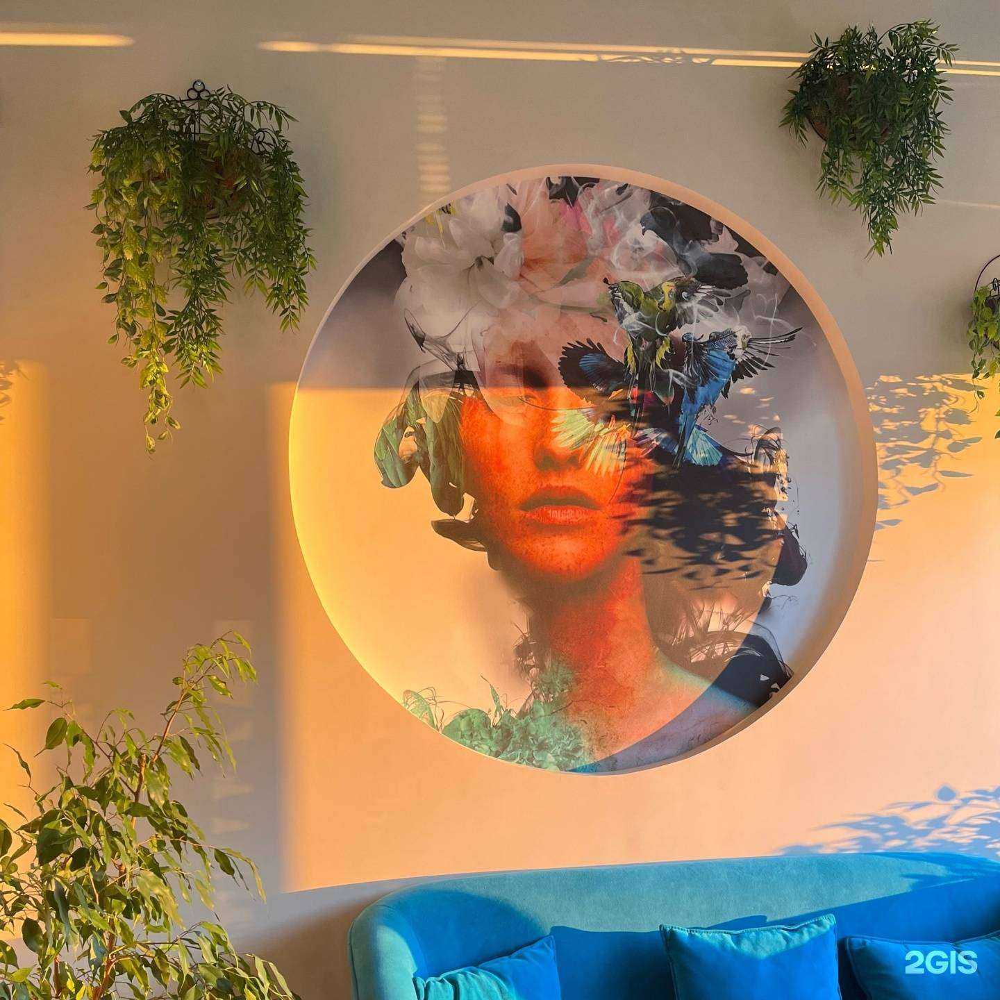 Отзывы на компанию Colores в г. Архангельск c фото