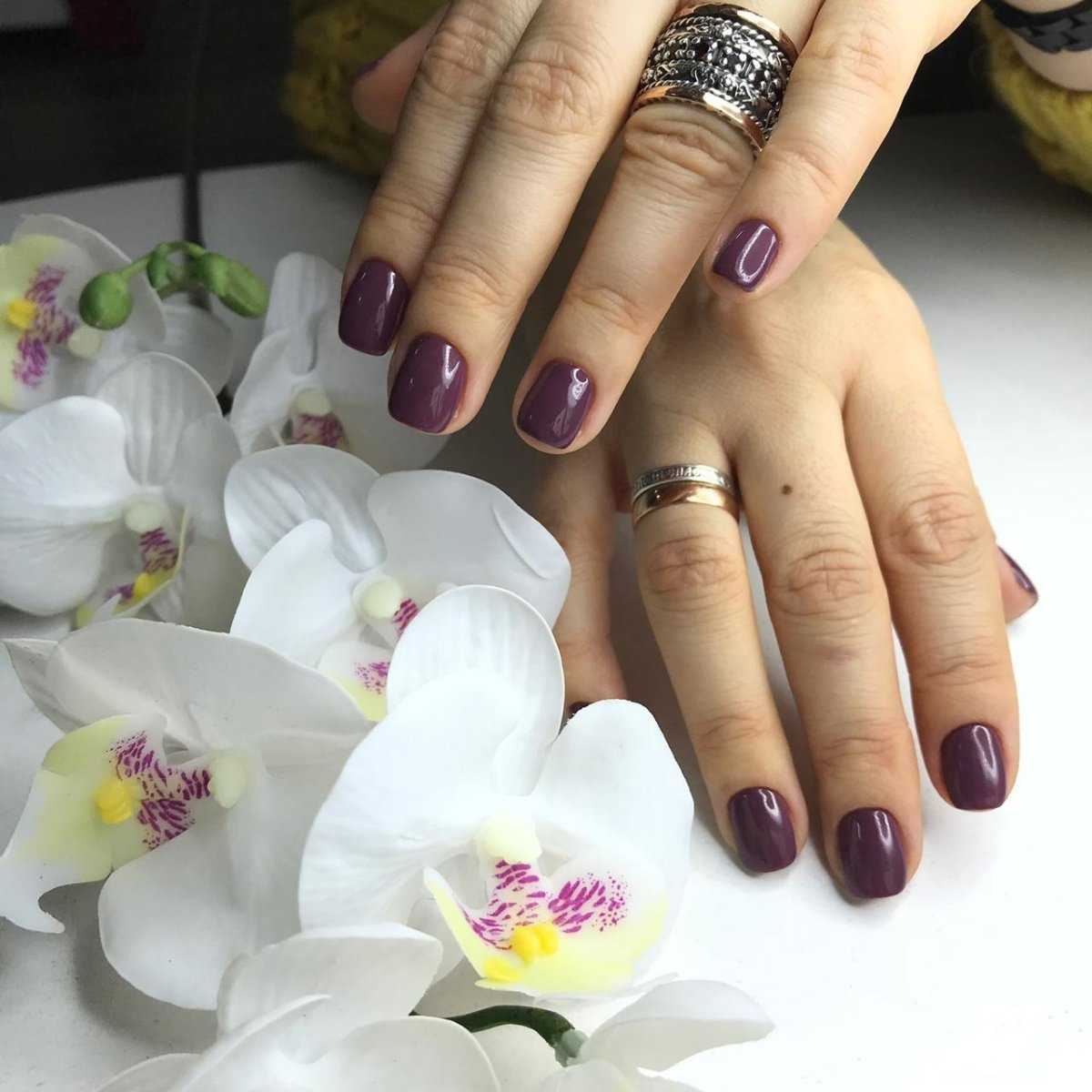 Отзывы на компанию Vis&vis в Сочи c фото