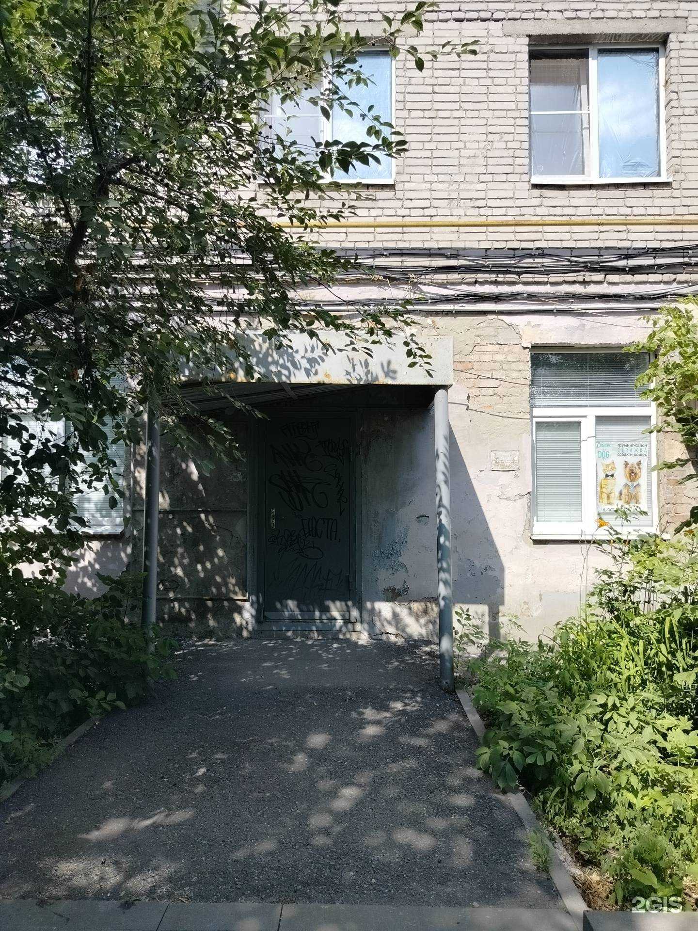 Отзывы на компанию Dog в Пензе c фото