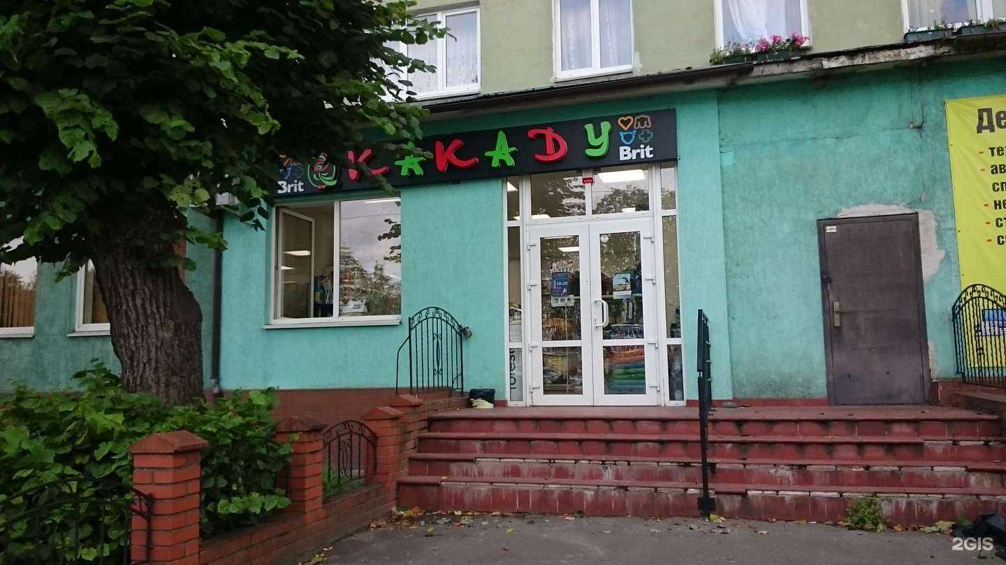 Отзывы на компанию Какаду в Калининграде c фото