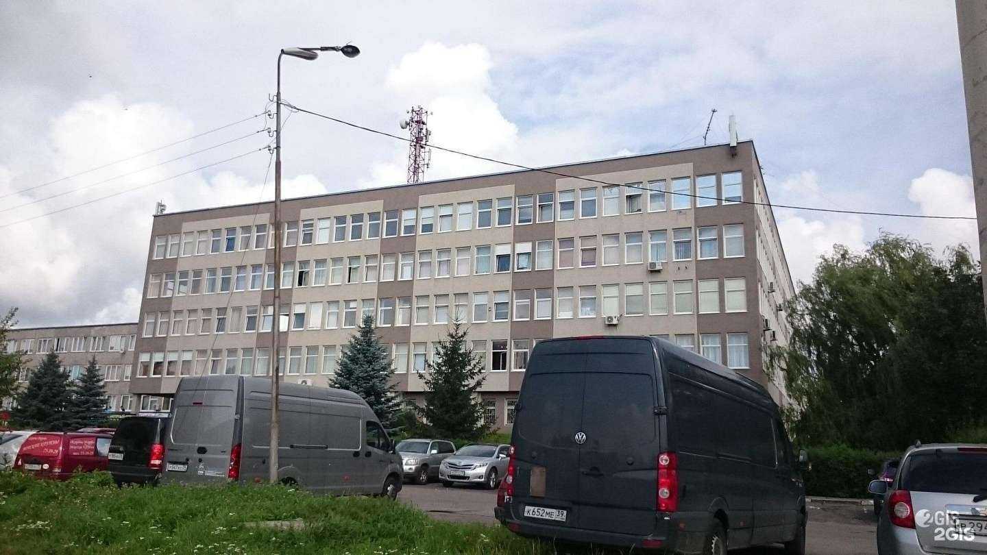 Отзывы на компанию Альтернатива в Калининграде c фото