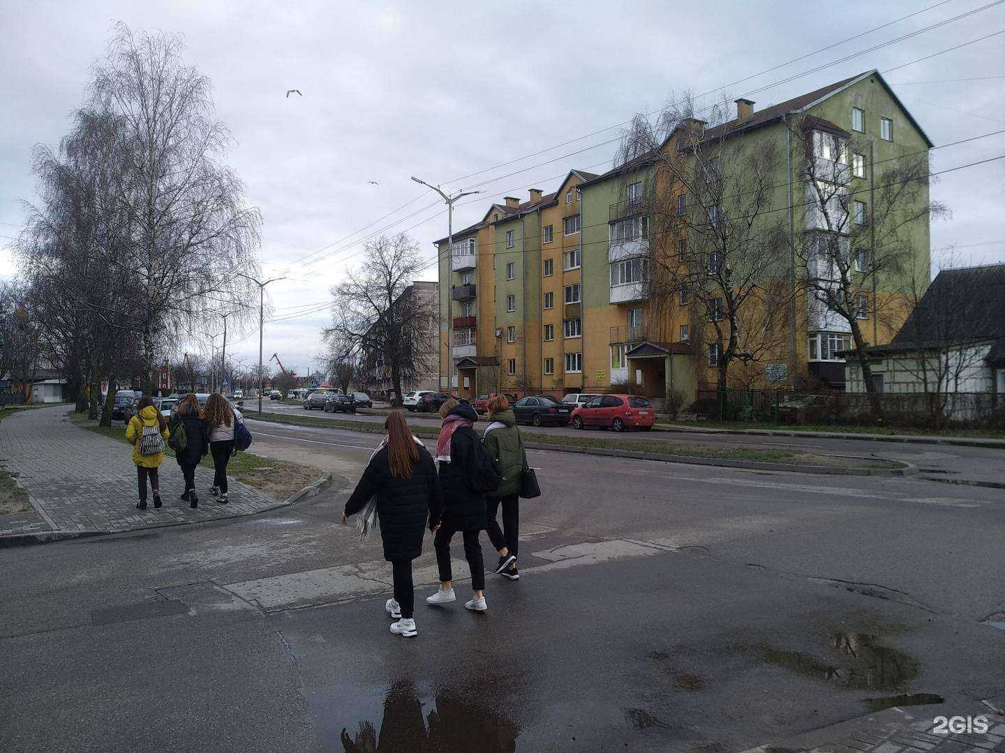 Отзывы на компанию Сохо.ru в Светлом c фото - фотография 2 из 2