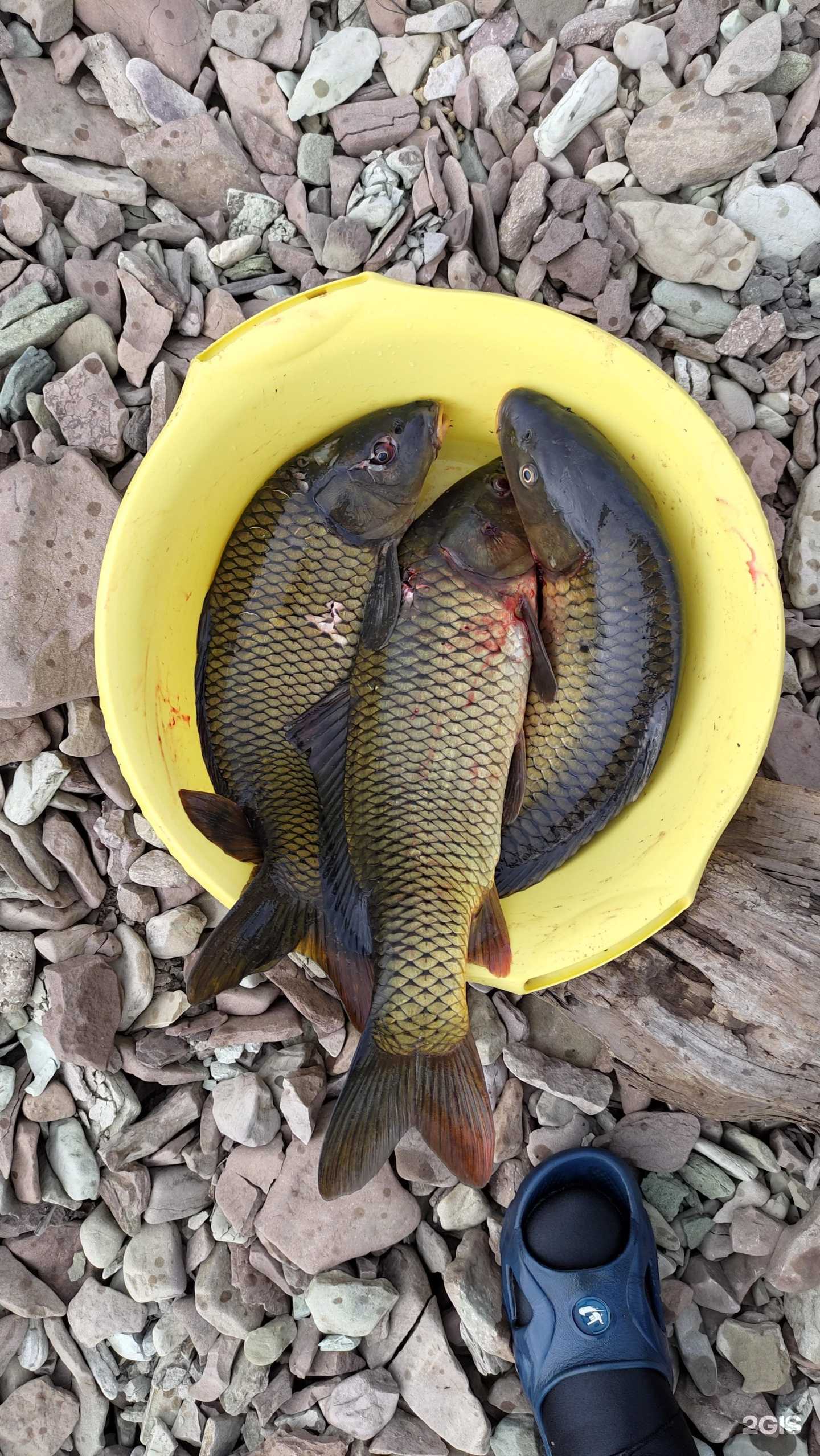 Отзывы на компанию Подводный охотник в г. Красноярск c фото