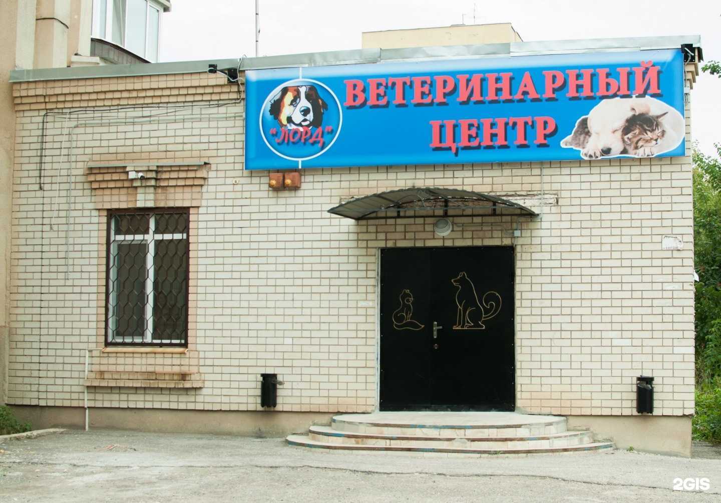 Отзывы на компанию Вет эксперт в Энгельсе c фото - фотография 2 из 2