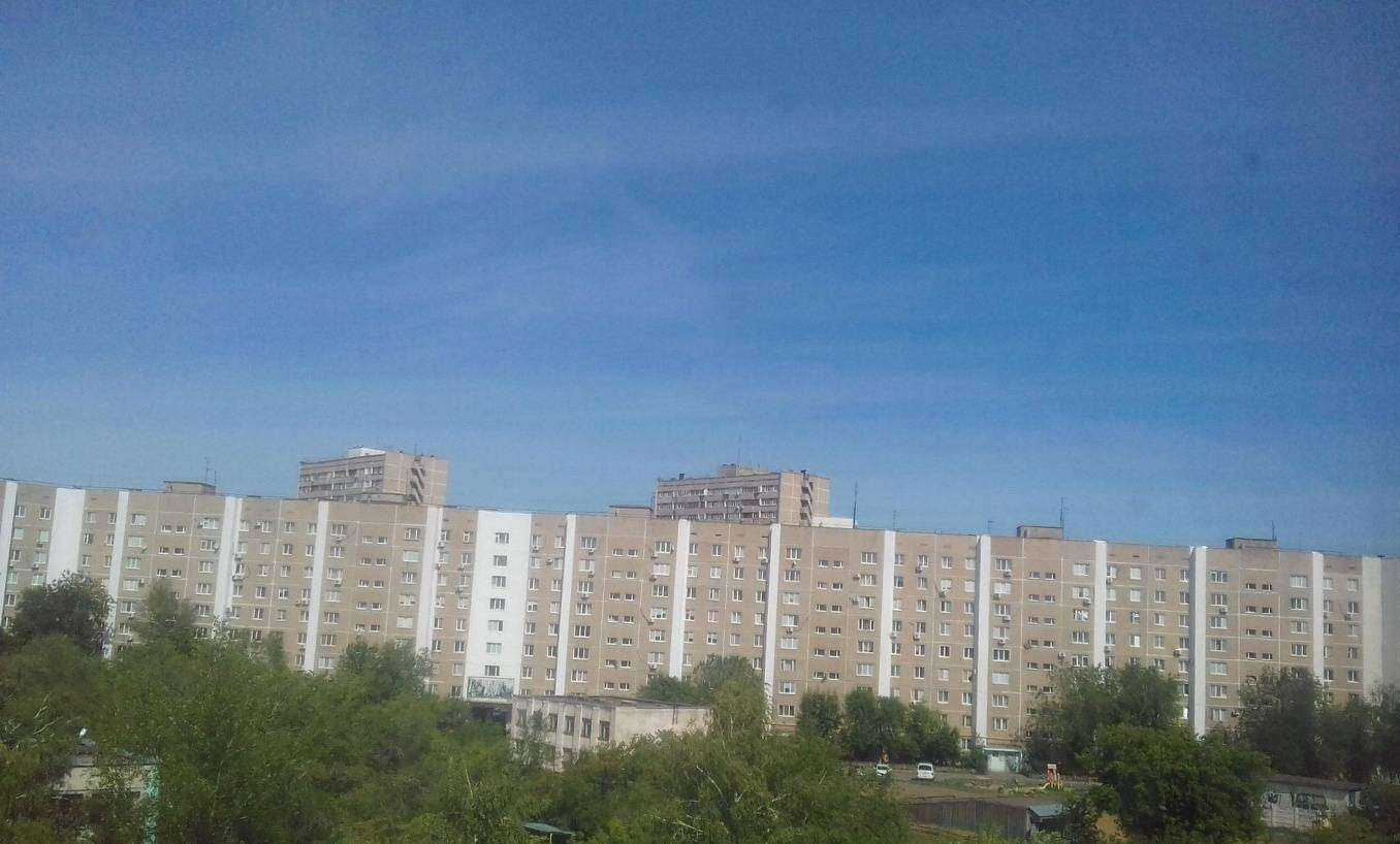 Отзывы на компанию Зоомаркет в Оренбурге c фото - фотография 2 из 2