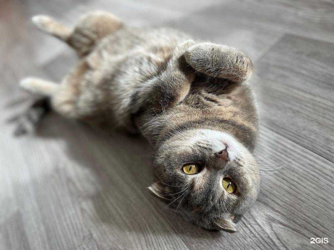 Отзывы на компанию Ветфармпродукт в Арзамасе c фото