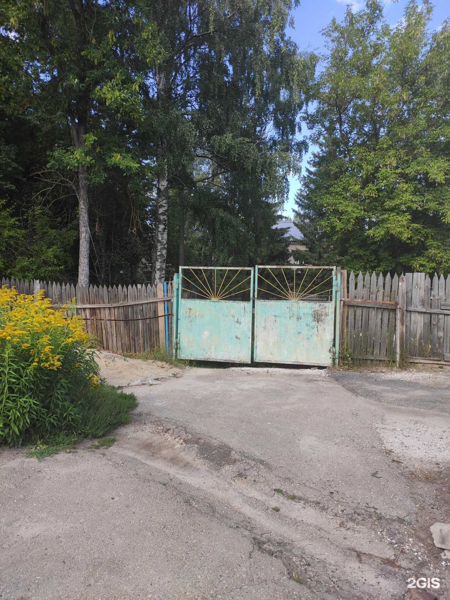 Отзывы на компанию Ёлочка в Арзамасе c фото