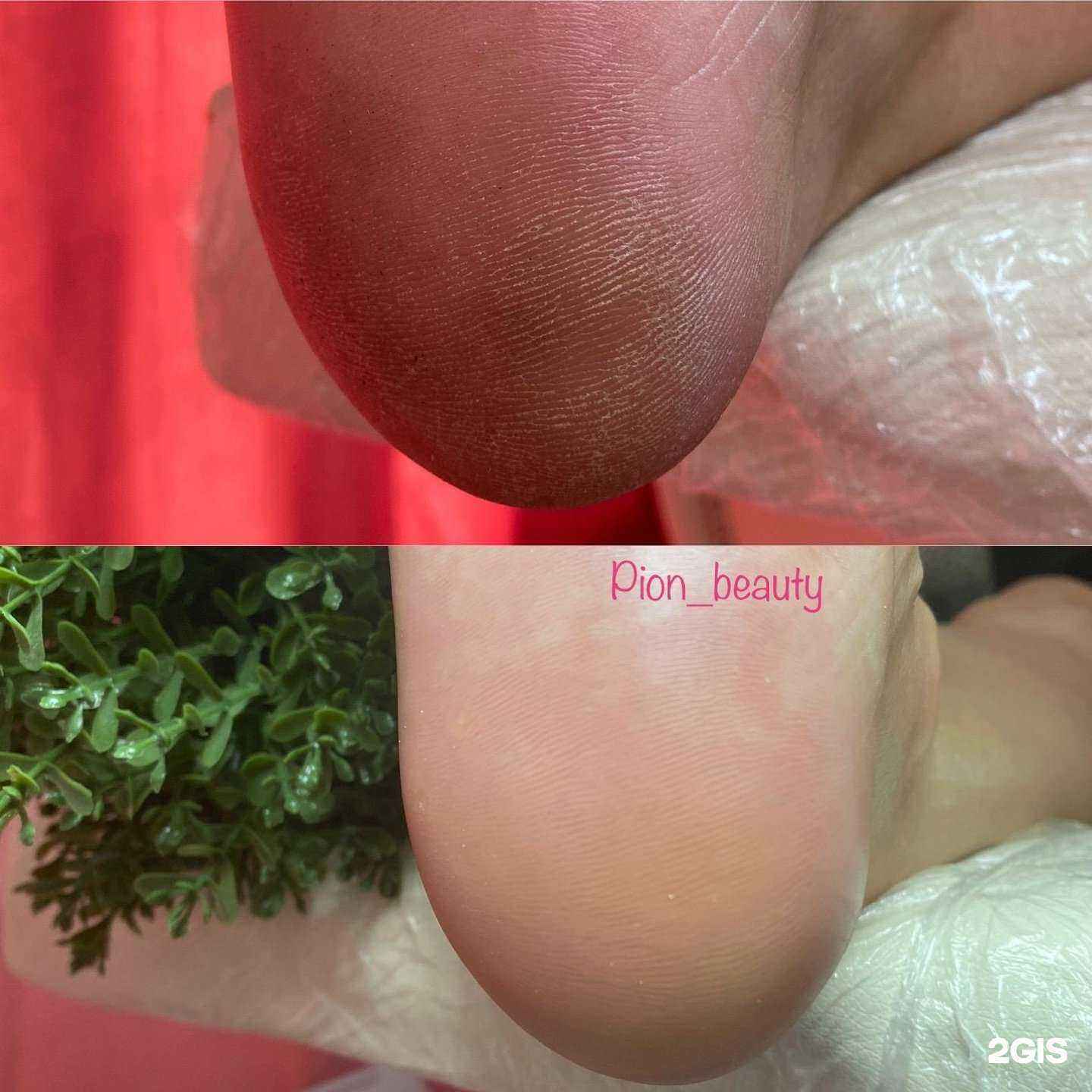 Отзывы на компанию Пион в г. Геленджик c фото