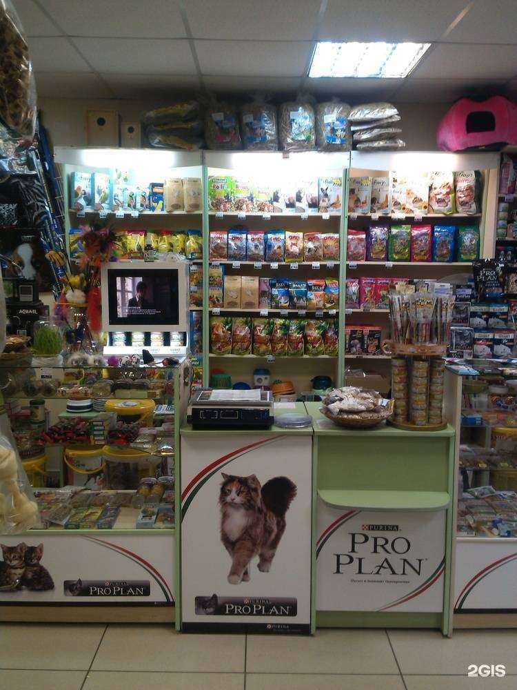 Отзывы на компанию Арнадаzoo в г. Барнаул c фото