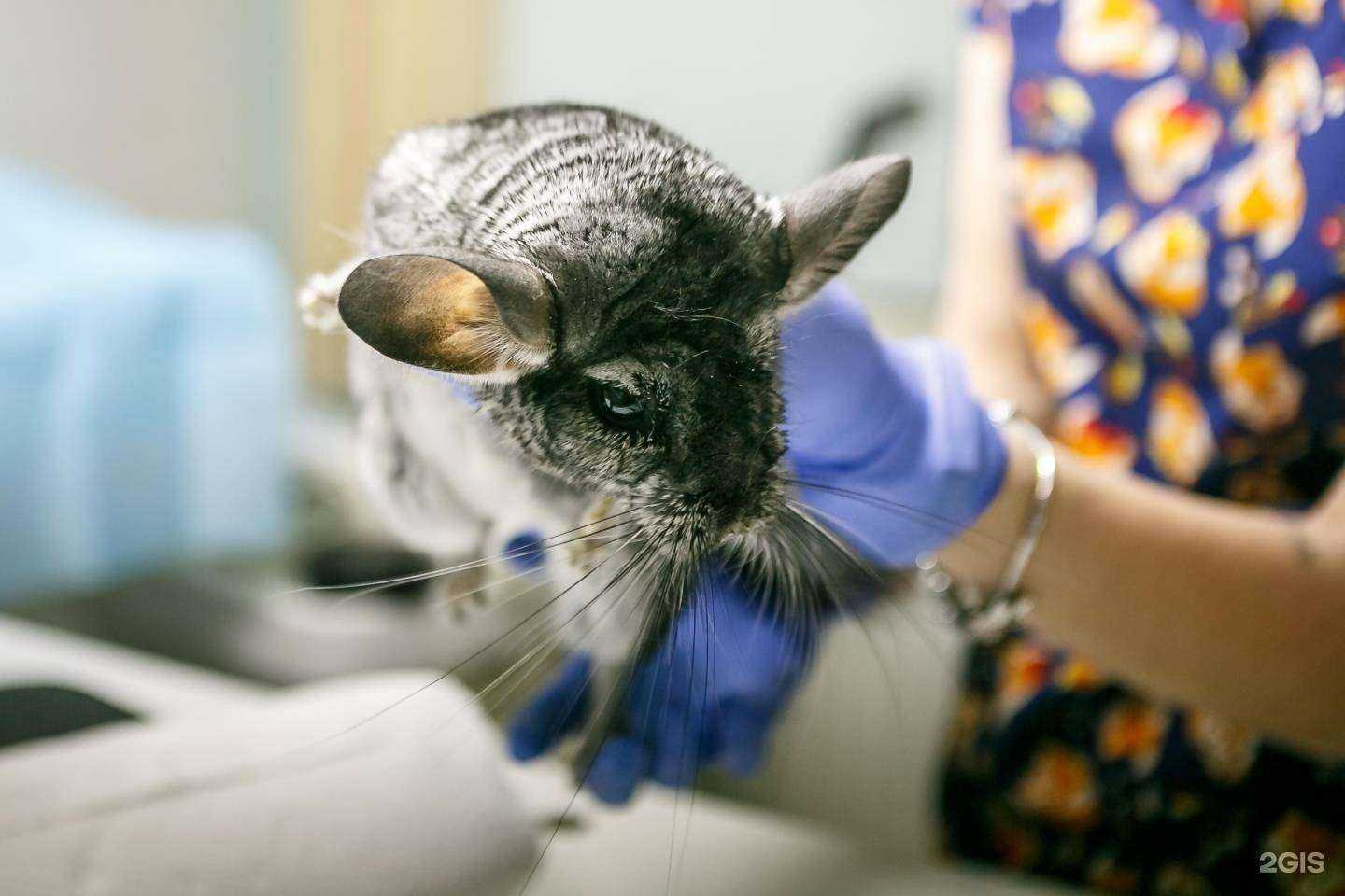 Отзывы на компанию Артемида в г. Владимир c фото