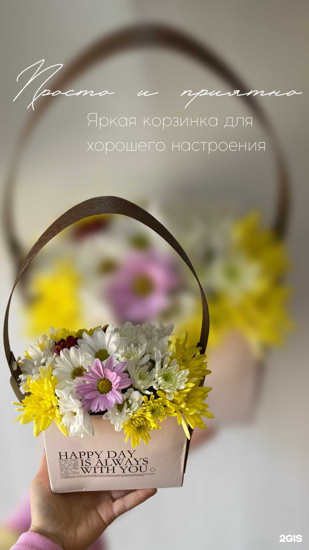 Отзывы на компанию Анютины глазки в Владивостоке c фото