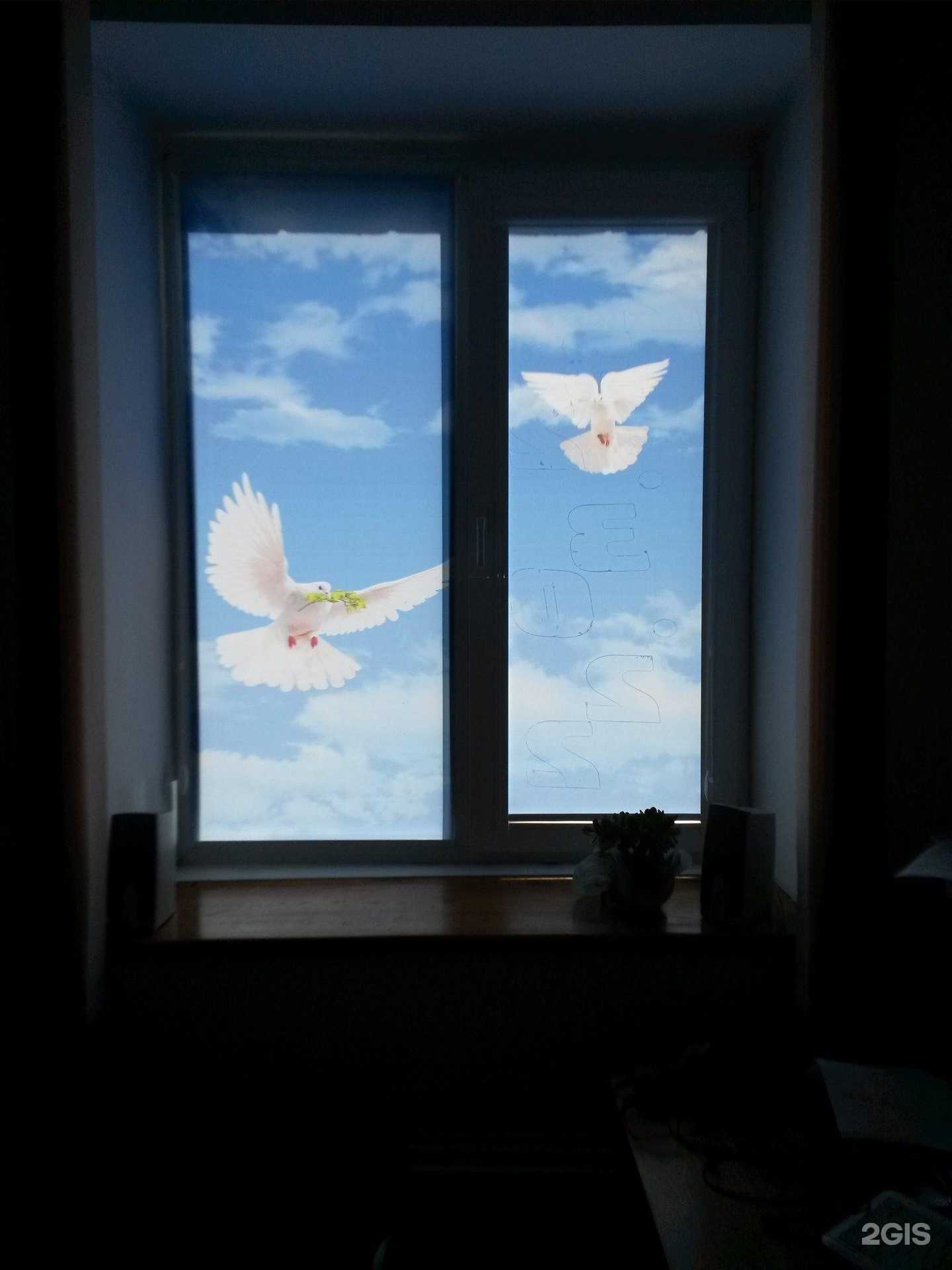 Отзывы на компанию Вита в Красноярске c фото