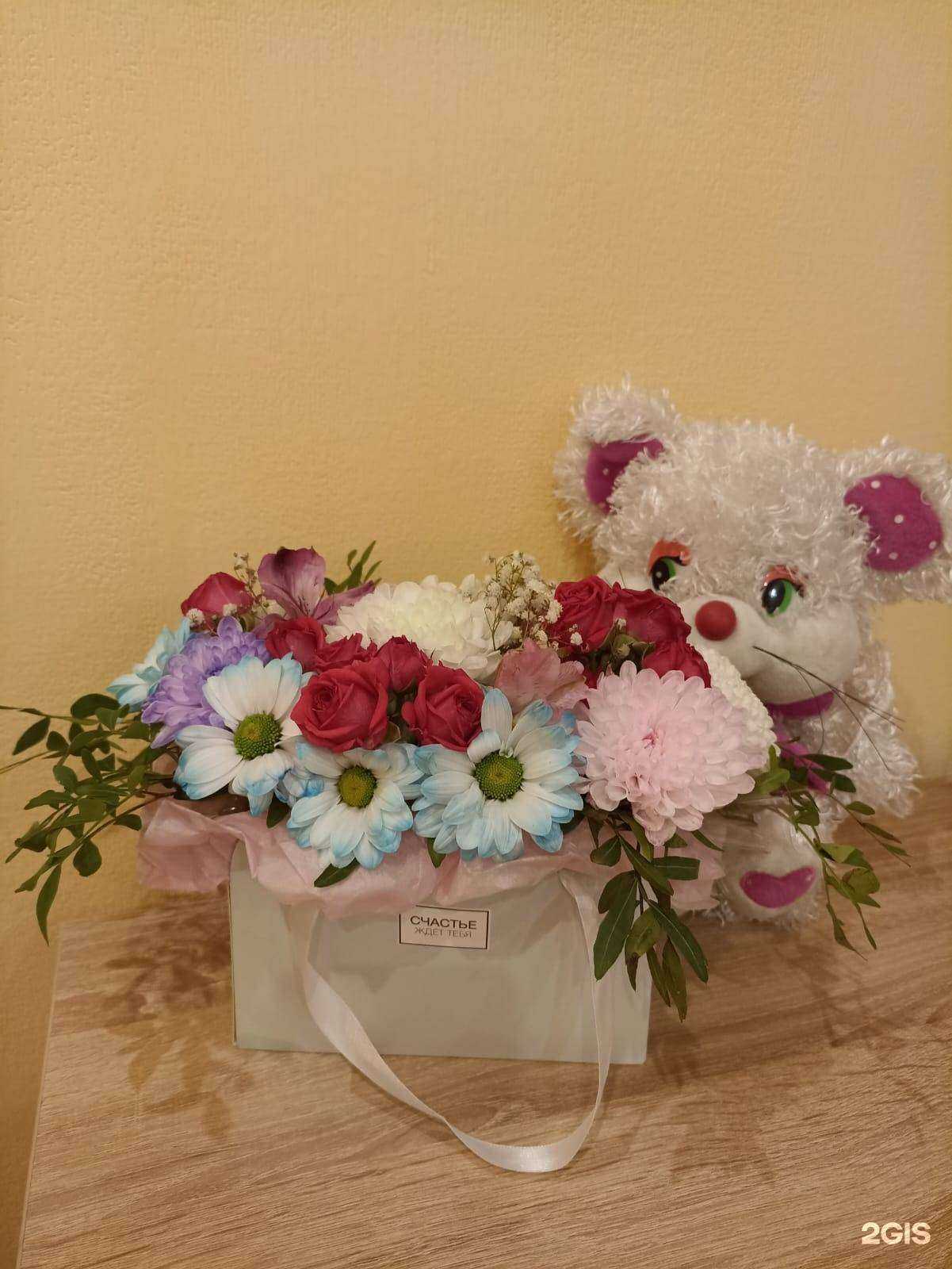 Отзывы на компанию Татьянин день в Красноярске c фото