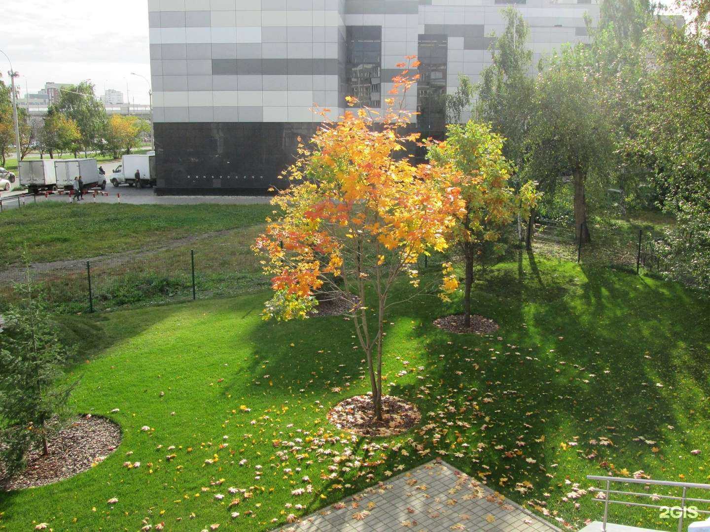 Отзывы на компанию Газоны Урала в Екатеринбурге c фото - фотография 2 из 2