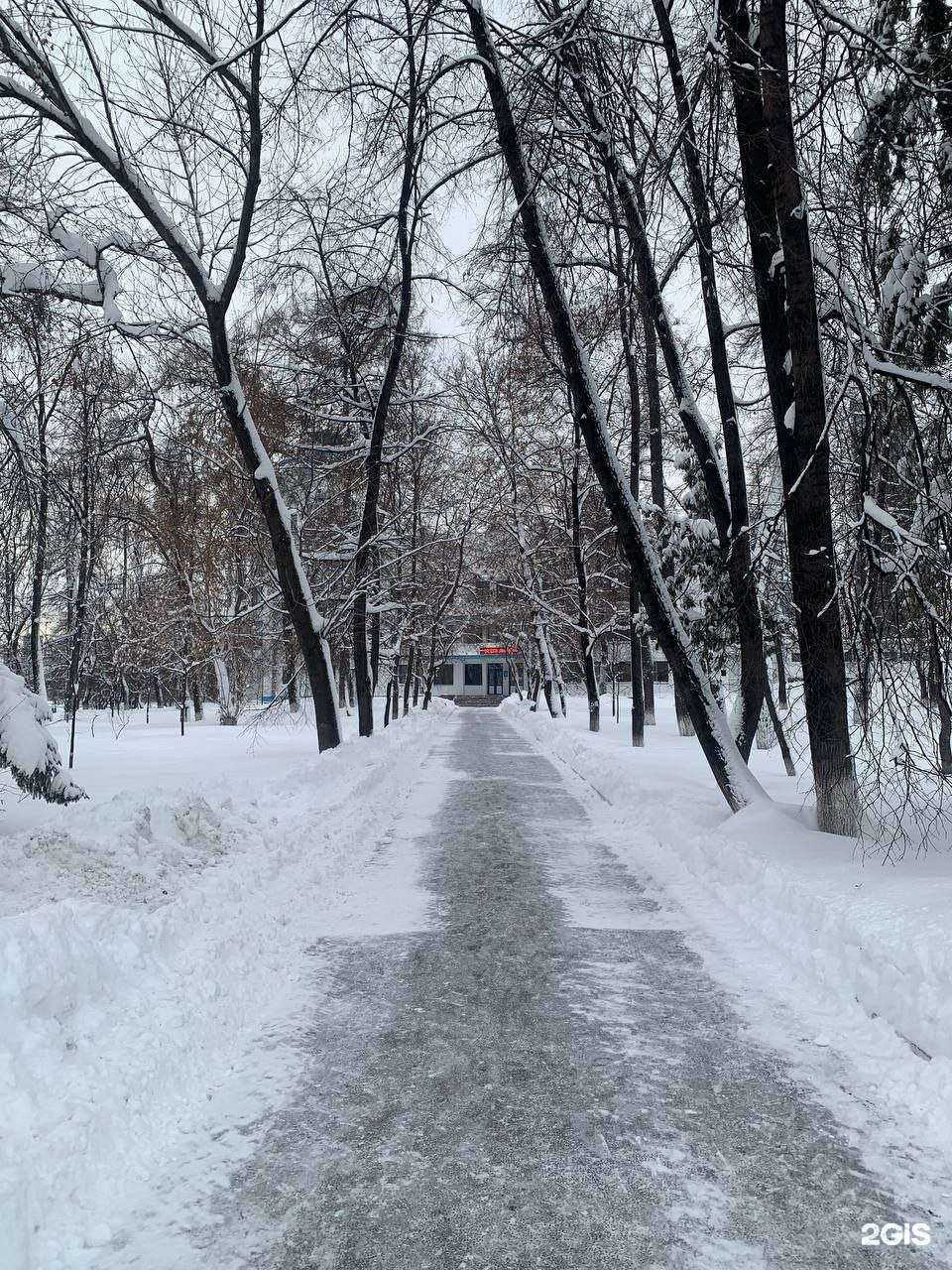 Отзывы на компанию Цибизова и партнеры в Екатеринбурге c фото