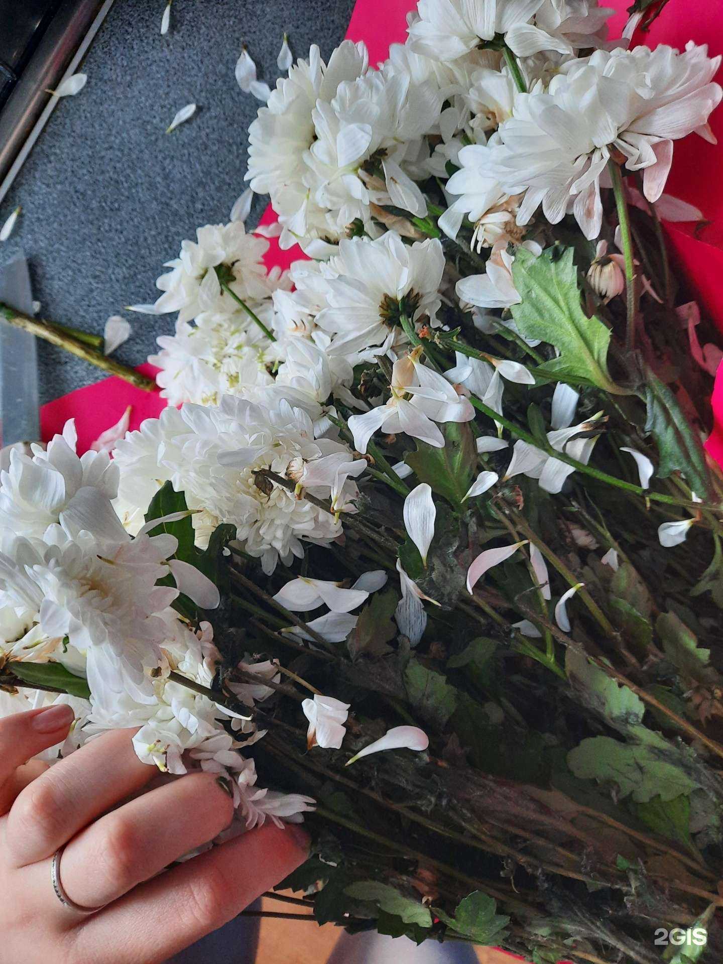 Отзывы на компанию Соцвет в Нижнем Новгороде c фото