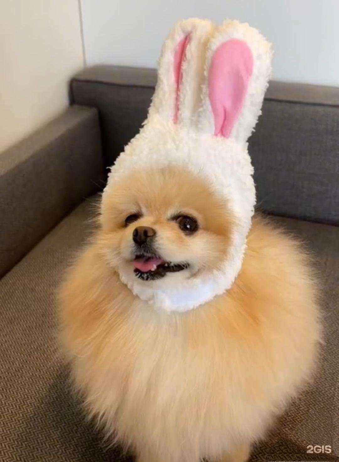 Отзывы на компанию Суперфарма в г. Каспийск c фото