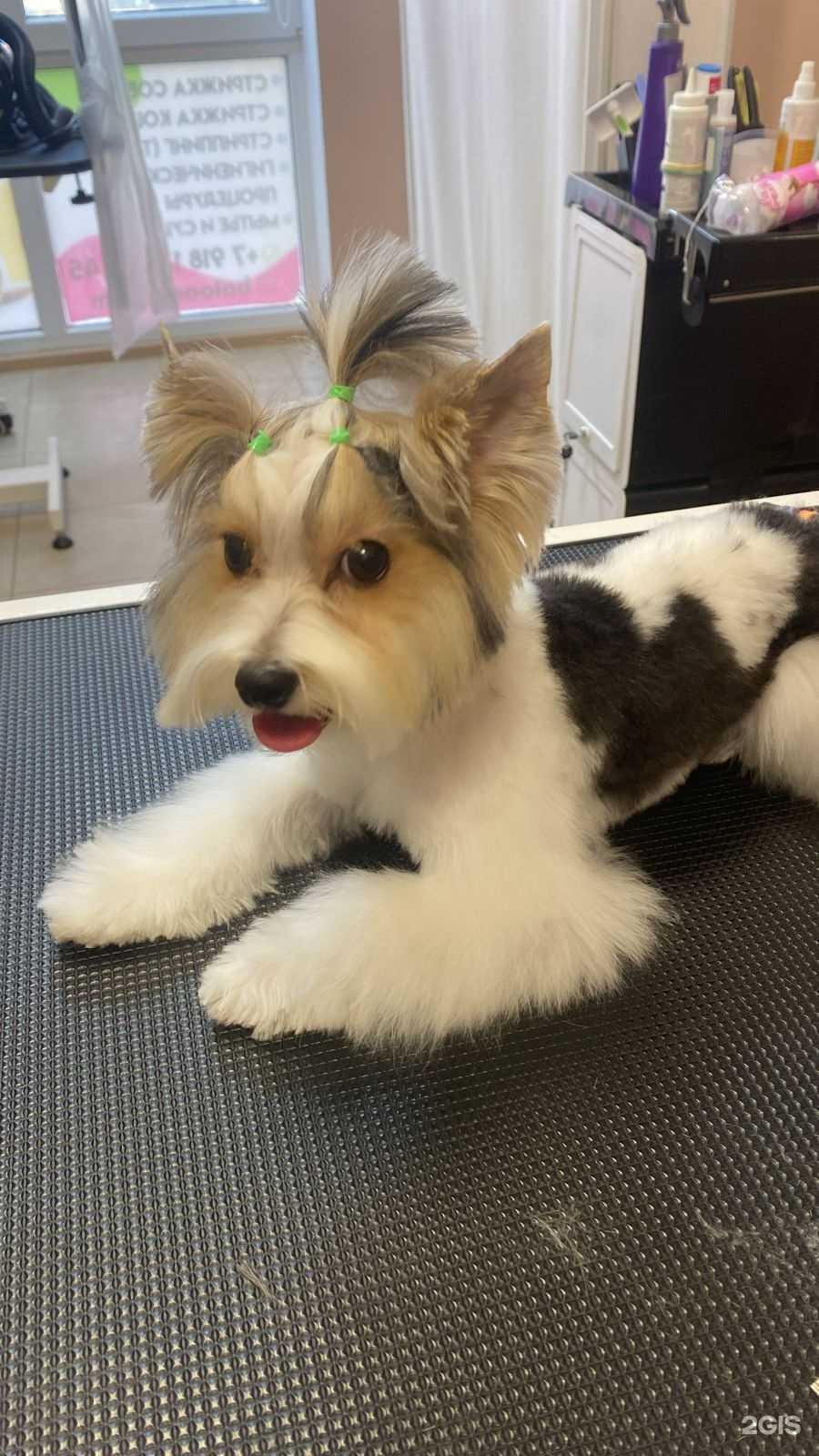 Отзывы на компанию Балун в Краснодаре c фото