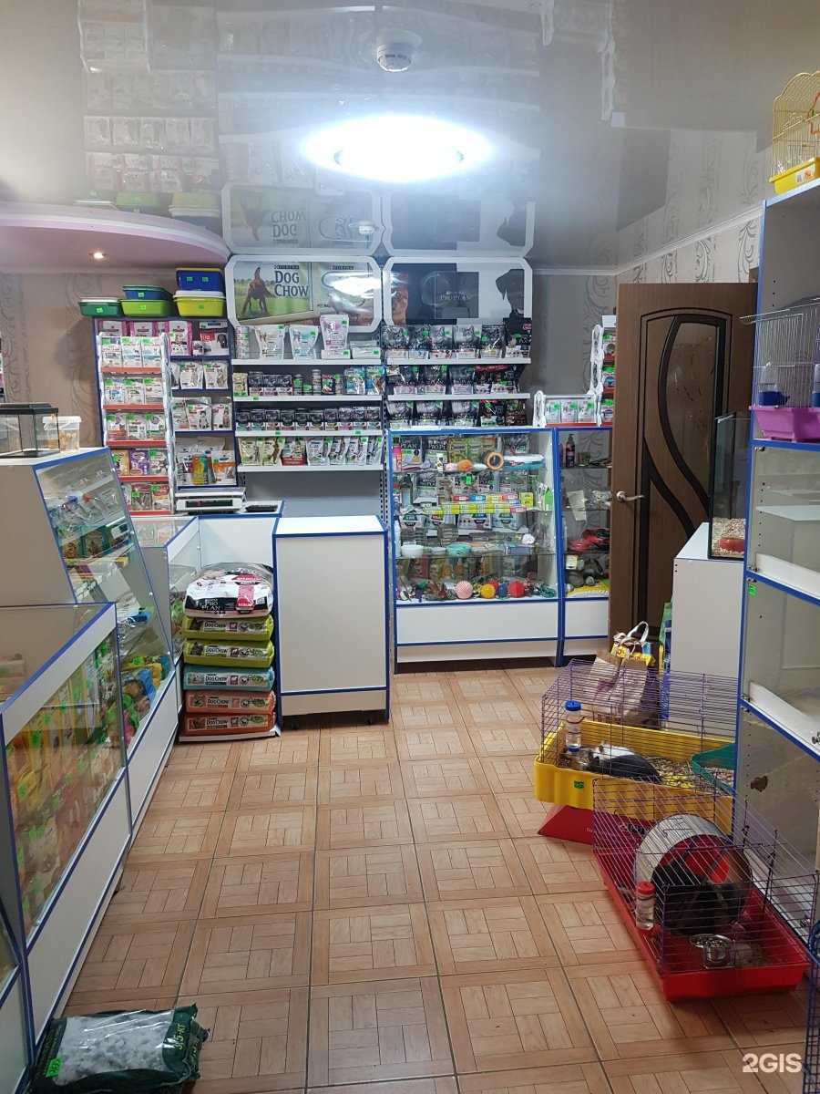 Отзывы на компанию Zoo в Альметьевске c фото